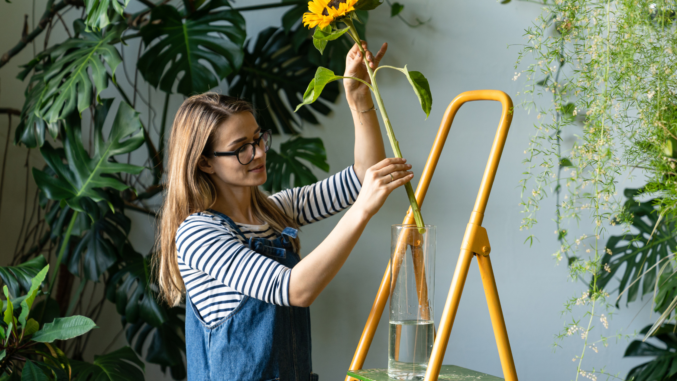 image of a florist with a ladder placing a flower in a vase